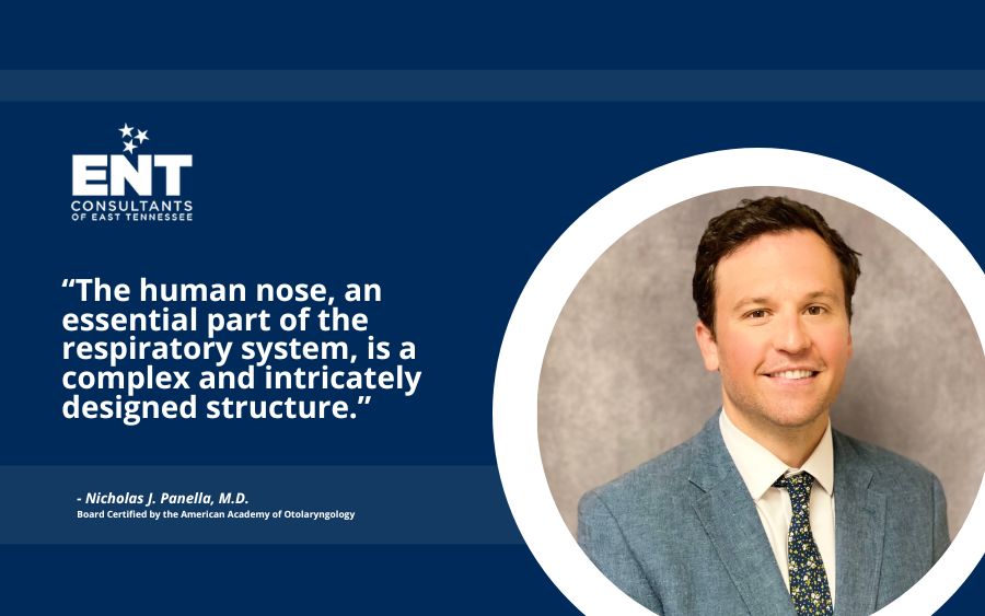 The Anatomy Of The Nose Understanding Its Structure And Function