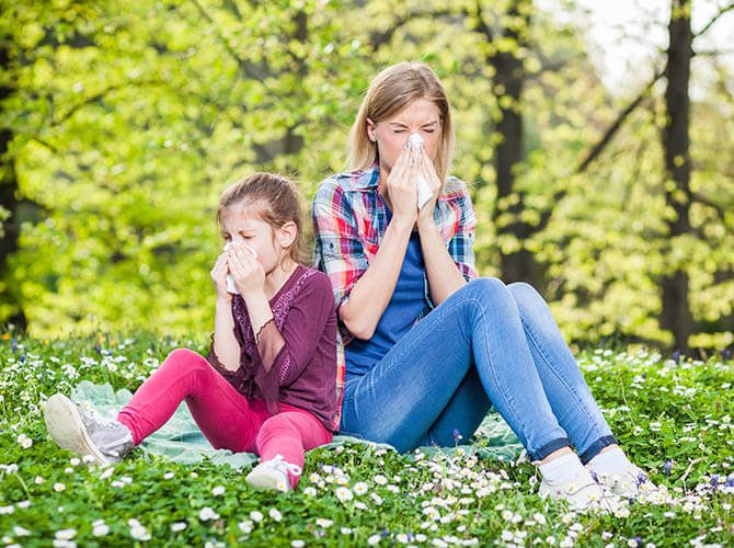 Pollen and seasonal allergy treatment